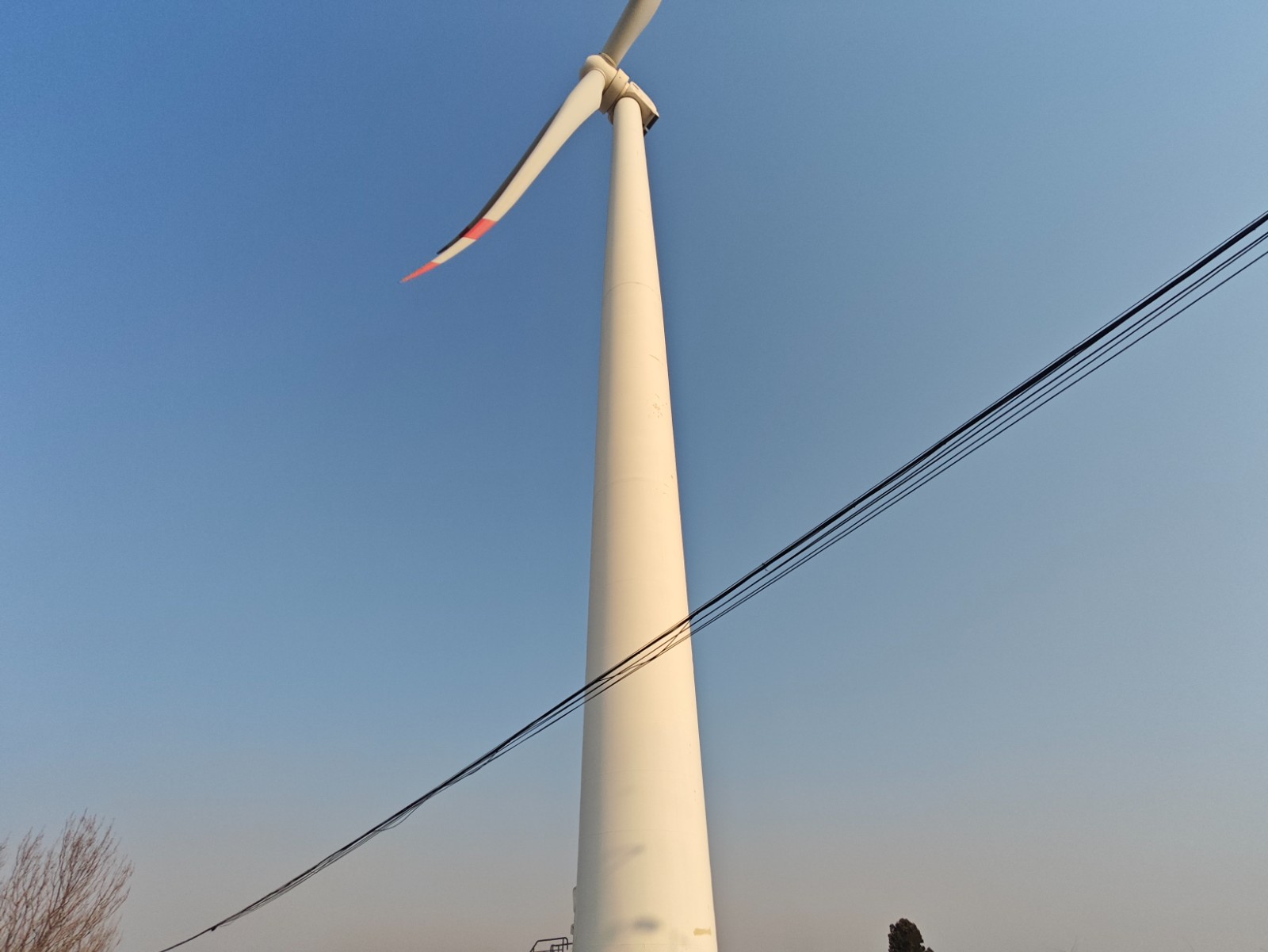 1735538667191622.jpg